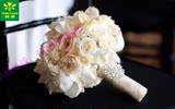 2015新款新娘手捧花绣球形19朵白玫瑰鲜花实体花店包邮免费配送