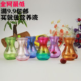 风信子绿萝塑料玻璃花瓶 加厚型时尚彩色水培插花瓶 特价包邮批发