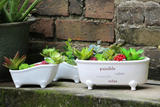 后花园 多肉陶瓷白色花盆 长方形组合盆栽创意大小 浴缸花器