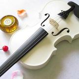 白色小提琴，实木，送肩托和琴弦 生日礼物 浪漫典雅 新年大促