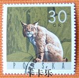 外国邮票 波兰邮票1965年森林动物―猞猁 1枚 RD08008
