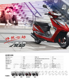 厂家直销正品宗申牌女庄踏板125CC摩托车整车T系列凌动款炫彩登场