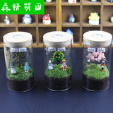 龙猫灯光生态瓶 苔藓微景观 创意DIY礼物 卧室装饰小盆栽摆件成品