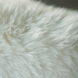 AUSKIN澳洲羊毛椅垫坐垫整张羊皮沙发垫皮毛一体防滑飘窗垫可定制