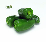 绿色蔬菜 新鲜蔬菜 净菜 青椒  有机方式种植无公害生态菜250g