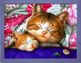 精准印花最新款DMC绣线十字绣正品客厅大幅套件卧室画动物猫咪