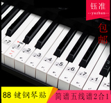 钢琴键盘贴纸88键61键透明电子琴手卷钢琴键贴五线谱简谱二合一