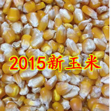 2015农家自产散装有机玉米粒  鸡鸭动物饲料 五谷杂粮500g 玉米粒