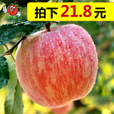 王小二 新鲜苹果水果山东烟台栖霞红富士5斤包邮批发吃的