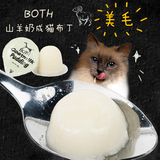 韩国BOTH山羊奶成猫期猫咪鱼油美毛布丁 猫罐头猫咪零食单颗装16g