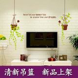 创意清新吊兰花卉盆栽绿色植物客厅墙贴纸卧室电视背景墙房间装饰