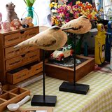 北欧原木动物雕刻海鸥鸟木质工艺品 创意家居装饰品生日礼物摆件