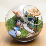苔藓微景观生态瓶办公室桌面创意迷你植物diy龙猫小盆栽摆件