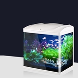 创意带LED灯迷你水族箱生态瓶桌面小型热带鱼观赏鱼圆柱玻璃鱼缸