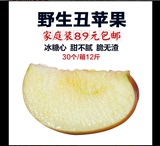 新鲜水果云南昭通丑苹果 野生红富士冰糖心苹果 30个装约十二斤