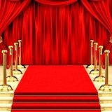 开业楼梯地垫批发庆红地毯展会结婚用一次性庆典迎宾地垫室外婚