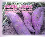 越南紫薯土特产新鲜紫薯生的紫心红薯番薯地瓜小紫薯500克一份