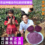 紫薯粉果汁粉纯天然果蔬粉蛋糕烘焙专用原料代餐食品月饼原料包邮