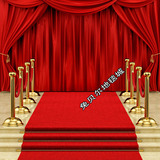 家庭用红地毯毛毯子开业门前红毯结婚庆典用大红毯子加厚拉绒红毯