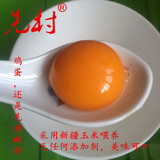 汶川羌村特产生态玉米土鸡蛋当天鲜鸡蛋散养鸡蛋包邮厂家直销疯抢