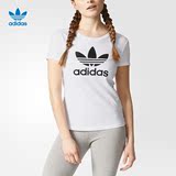 adidas 阿迪达斯女装2016夏季新款三叶草运动休闲短袖T恤B36947