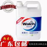 威露士（Walch）泡沫洗手液 青柠盈润 5L 滋润+抑菌