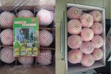 洛川苹果水果富士红富士苹果新疆有机绿色特产促销12头85mm平安