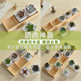 多肉植物花盆花器托盘/10格木盒/实木/组合/白瓷日式/收纳盒
