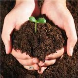营养土/泥炭土/花泥/培养土/种花种菜泥土 花卉营养土 植物介质