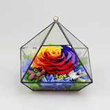 七彩玫瑰永生花保鲜花玻璃罩礼盒送女友老婆生日儿童节创意礼物品