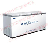穗凌 BD-820 商用大冰柜 单温一室冷冻冷藏 顶开门 冷冻卧式冰柜
