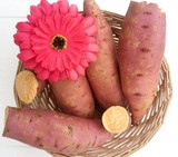正宗现挖有机红心红薯新鲜黄心紫薯小香薯山芋地瓜番薯特产