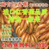 红香蕉水果 新鲜红皮香蕉 漳州土楼红米蕉自然熟 5斤起拍10斤包邮