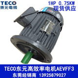 热卖TECO卧式东元电机0.75kw三相380v东元变频电机750w AEVF-FAC