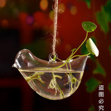 创意可悬挂小鸟玻璃花瓶透明水培容器田园风家居装饰