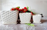 高档陶瓷花盆带托盘白色长正方形带古典花纹花卉绿植花盘大中小号