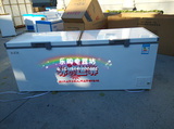 特价新盛源798升大型冰柜冷冻冷藏卧式商用全速冻节能冷柜单温