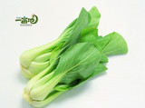 绿色蔬菜 新鲜蔬菜 青菜油菜 农家绿色种植无公害生态菜配送 250g