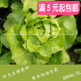 5元包邮 阳台蔬菜种子 奶油生菜种子 沙拉首先营养蔬菜种子