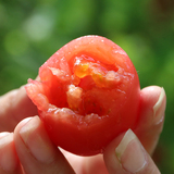 农家自种新鲜圣女果小西红柿非转基因有机肥现摘发货500g四件包邮