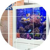 欧宝 1.2米金龙鱼缸 中型玻璃屏风水族箱LED灯造景玄关免换水定制