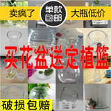 水培花卉绿植玻璃花瓶 简约透明盆 器皿铜钱草花盆综合15包邮