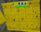 【包邮17片】 粘虫板， 诱虫板、黄板，苍蝇贴，15*25塑料板。