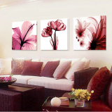 时尚简约客厅装饰画现代无框画三联卧室床头挂画沙发墙壁画透明花