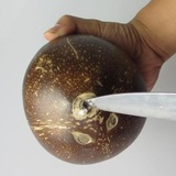 促销海南三亚新鲜水果 椰王老椰子红金椰子肉厚有机 3个起拍包邮