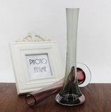 中欧式现代简约田园创意艺术工艺品客厅书富贵竹斜口玻璃花瓶摆件