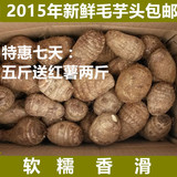山东农产品 特产 毛芋头 山芋 胜荔浦芋头有机新鲜蔬菜 五斤包邮