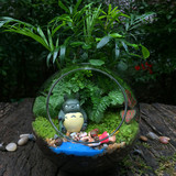 苔藓微景观生态瓶创意迷你植物玻璃办公室内盆景DIY龙猫摆小盆栽