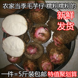新鲜芋头槟榔芋小竽仔农家新鲜芋艿小毛芋香芋5斤装可做种子包邮