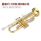 正品北京星海XT-230小号乐器/降B调漆金铜管西洋乐器小号